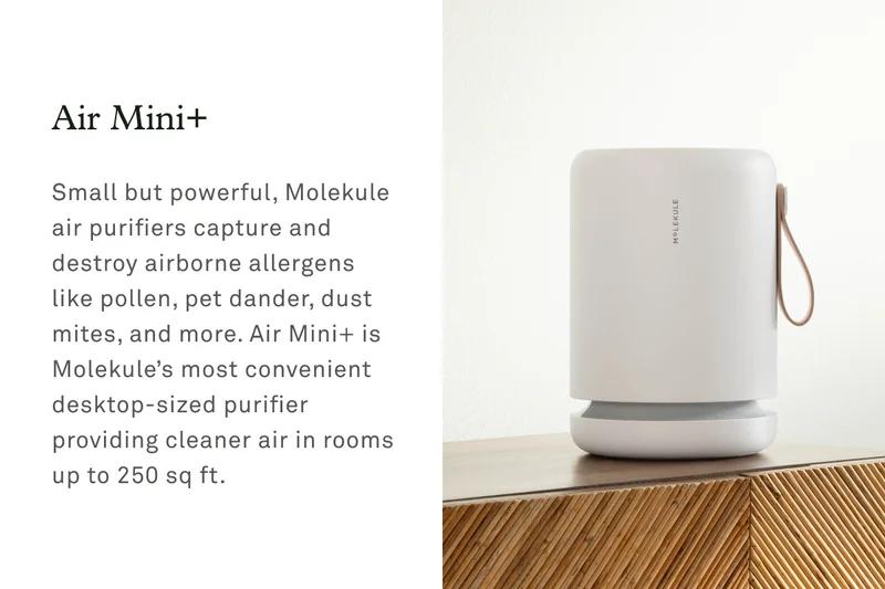 Air Mini+