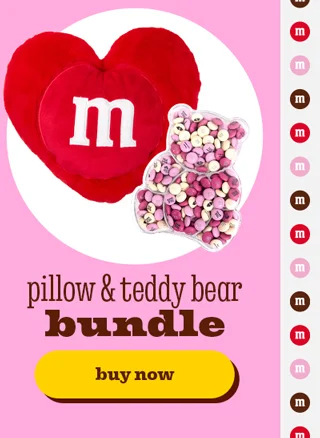 PILLOW & TEDDY BEAR BUNDLE