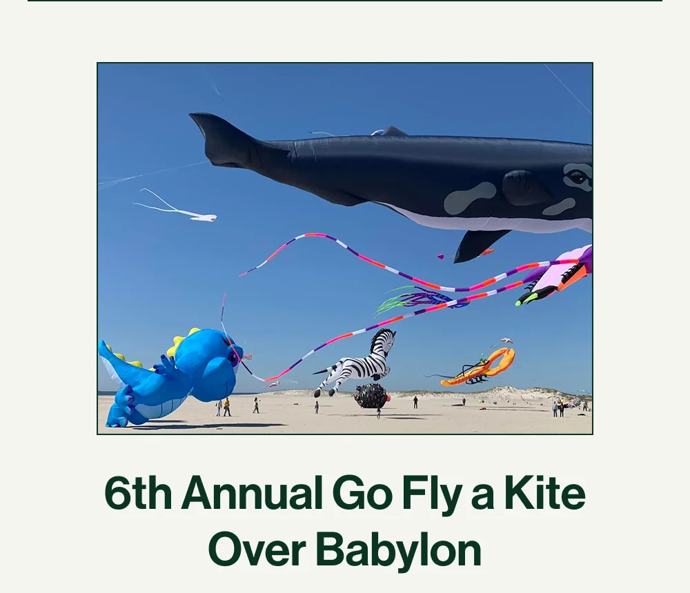 6th Annual Go Fly a Kite
