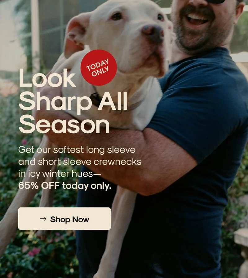 Look Sharp All Season