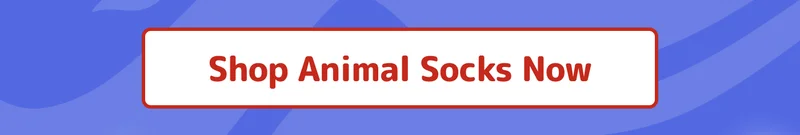 Shop Animal Socks Now
