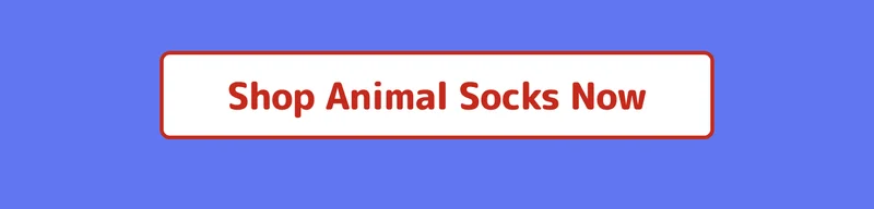 Shop Animal Socks Now