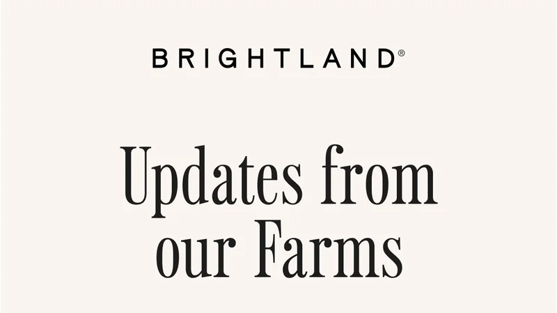 Updates from our Farms