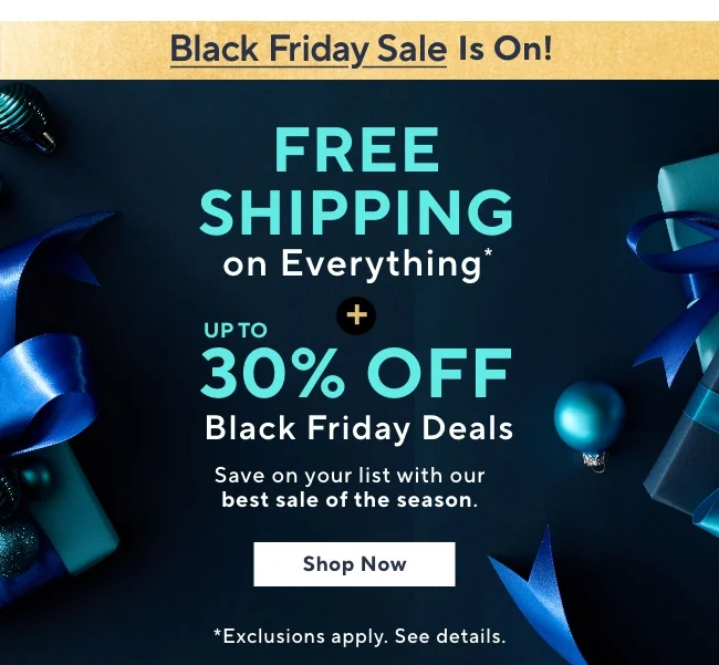 Black Friday Sale