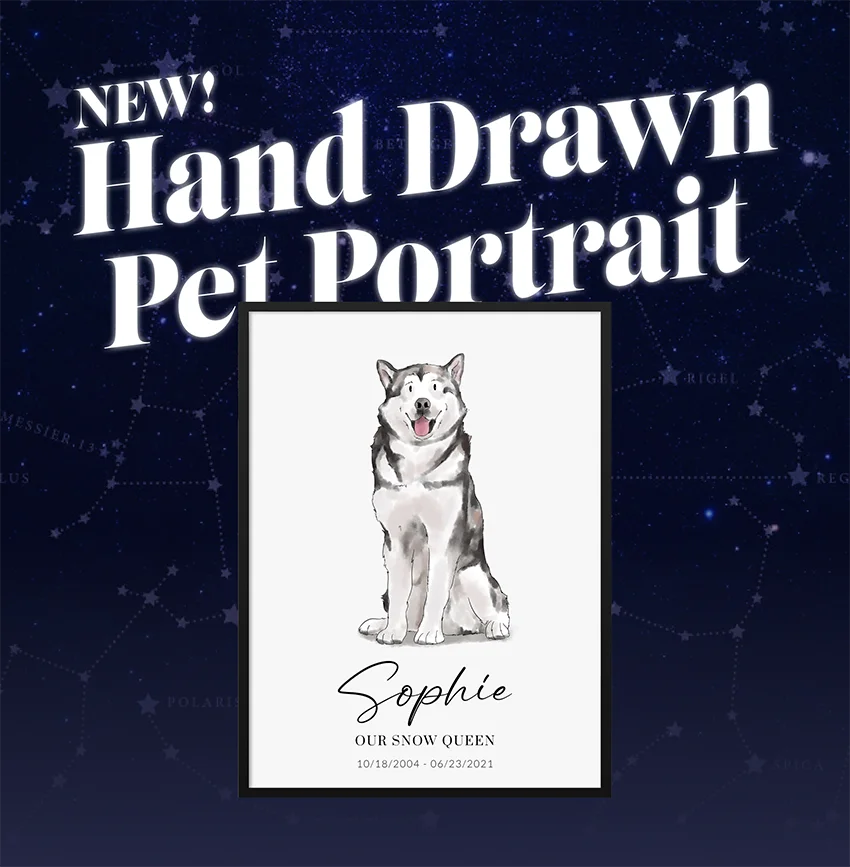 NEW! Hand Drawn Pet Portrait