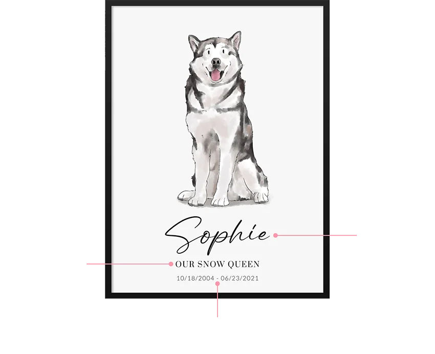 1. Your pet's name. 2. Your pet's nickname or breed. 3. Their birthday