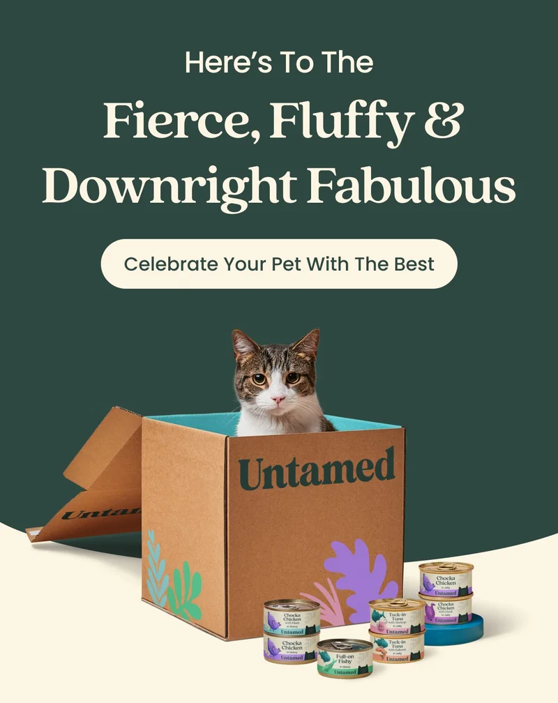 Celebrate Your Pet With The Best