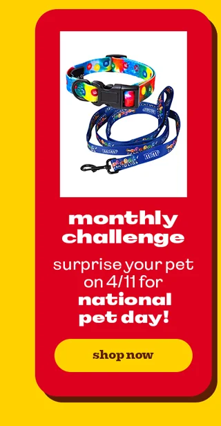 SHOP PET