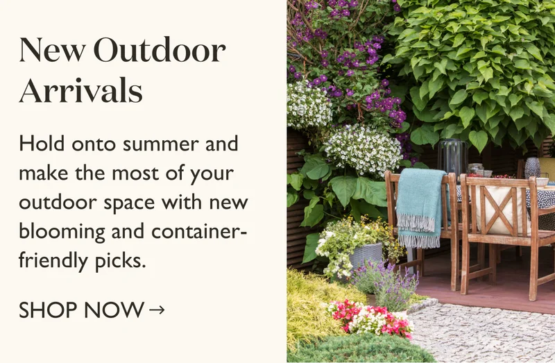 Shop New Outdoor Arrivals