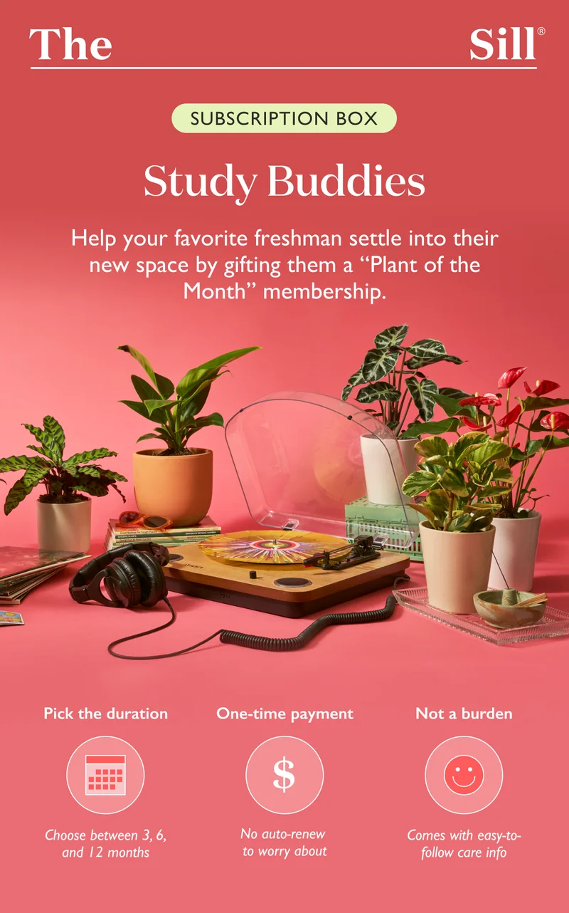 Help your favorite freshman settle into their new space by gifting them a Plant of the Month membership.