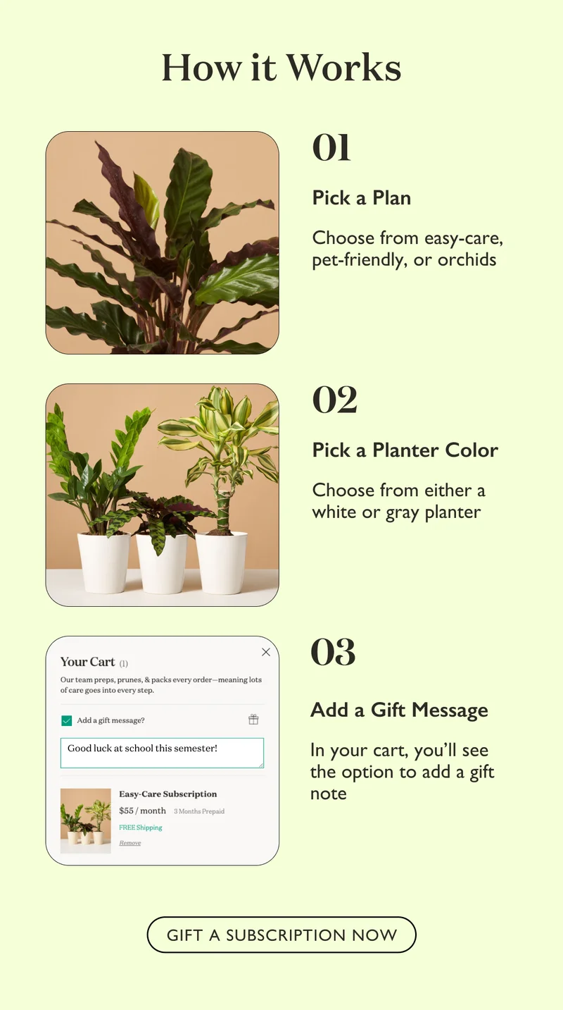 Gift a Subscription Now - Pick a Plan