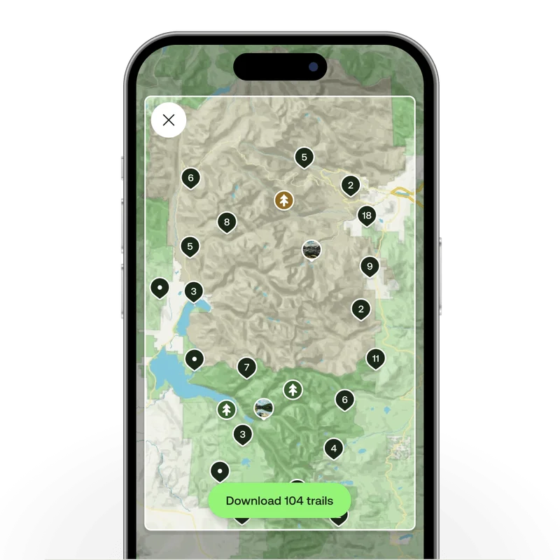 Image of phone screen.