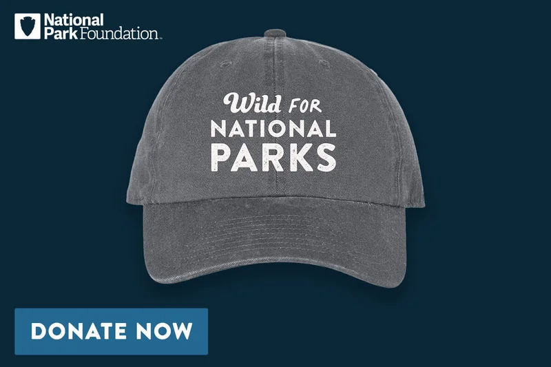 National Park Foundation, Wild for National Parks, Donate Now