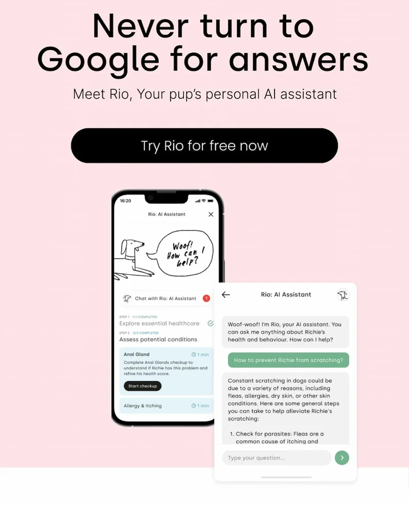 Try Rio for free now