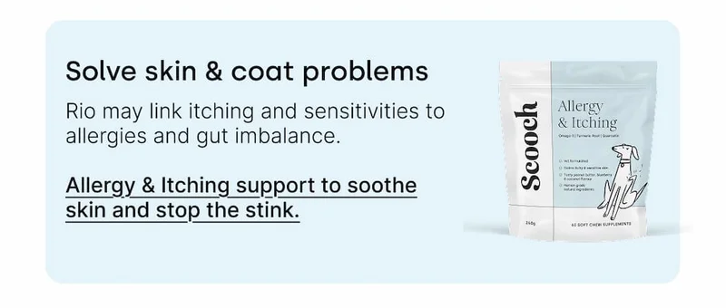 Solve skin & coat problems