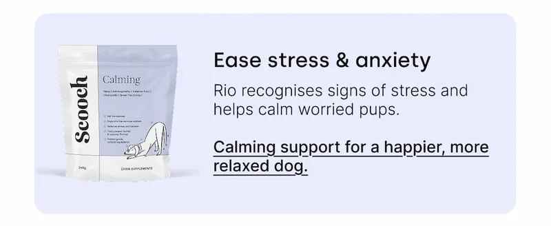 Ease stress & anxiety