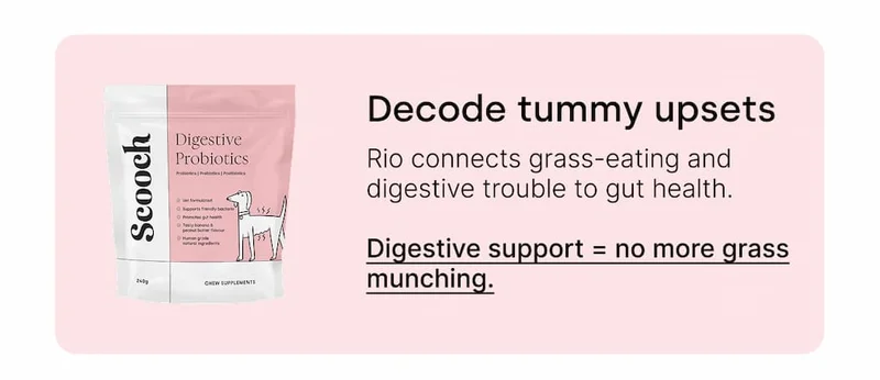 Decode tummy upsets