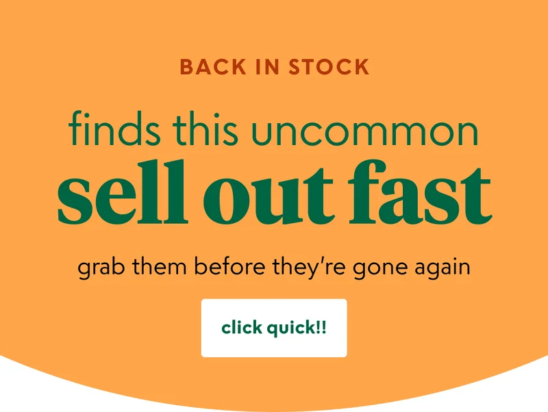 shop back-in-stock