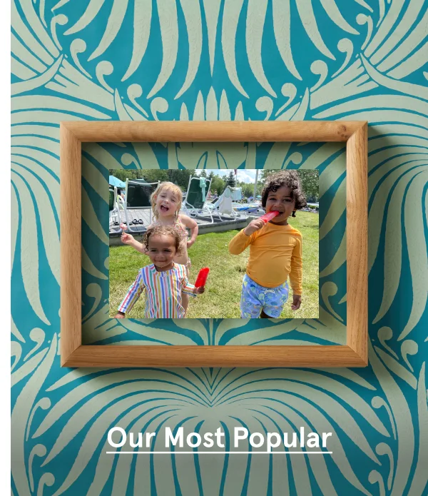 Our Most Popular