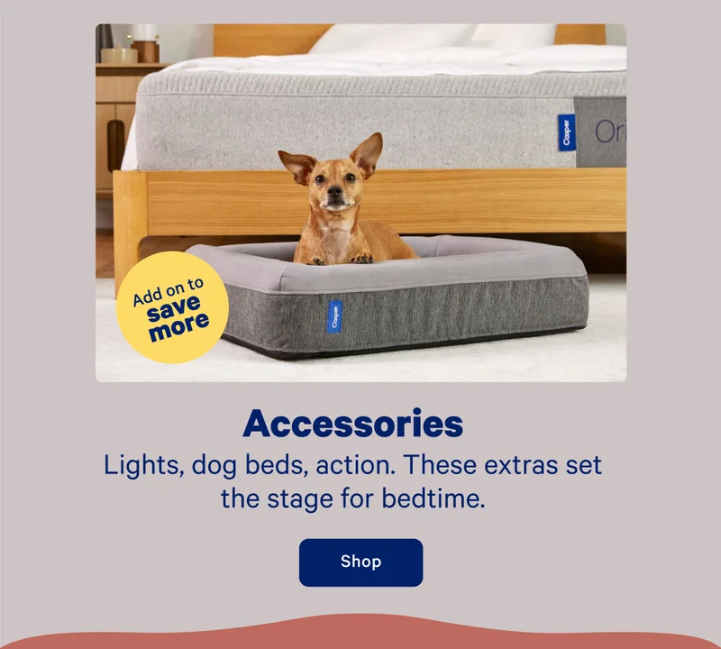 Accessories; Lights, dog beds, action. These extras set the stage for bedtime.