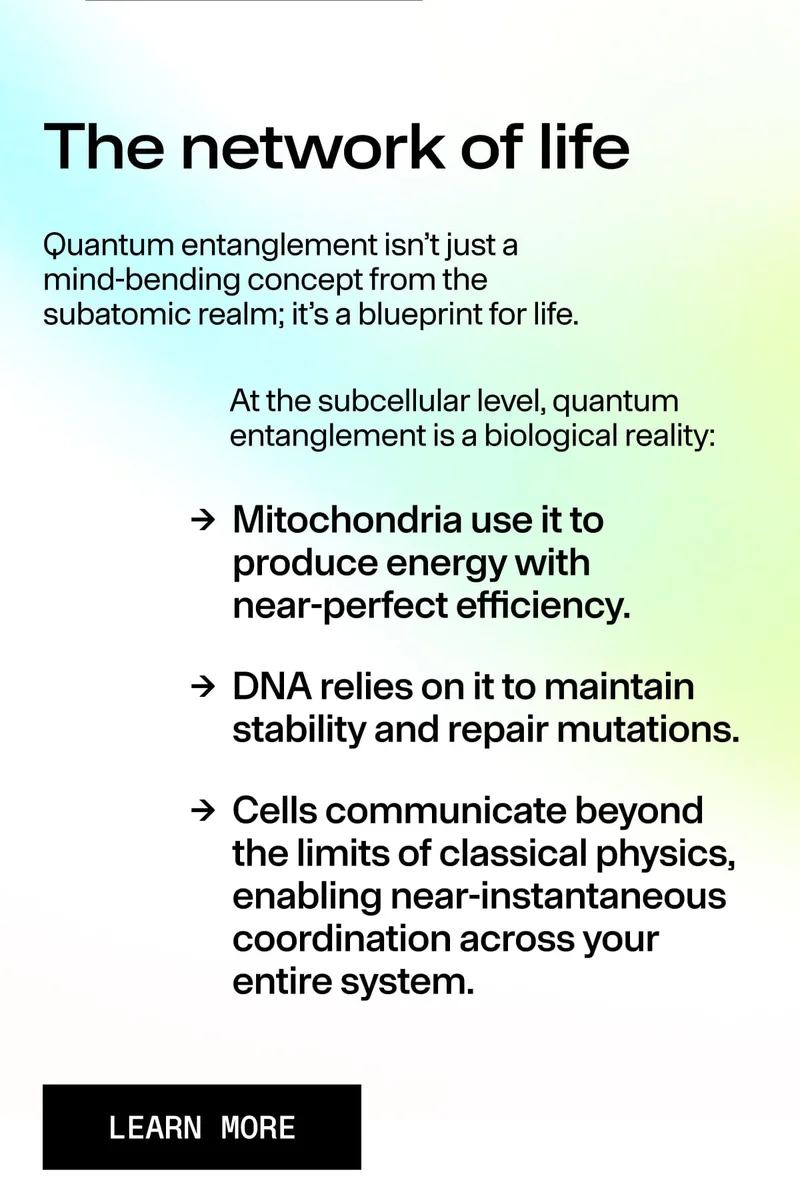 The network of life. Quantum entanglement isn’t just a mind-bending concept… it’s a blueprint for life. Mitochondria produce energy… DNA maintains stability… Cells communicate beyond classical physics. LEARN MORE button.