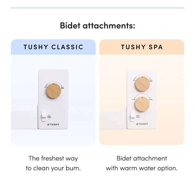 BIDET ATTACHMENTS