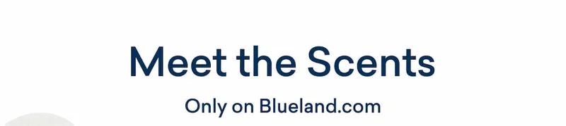 Shop the collection on Blueland.com