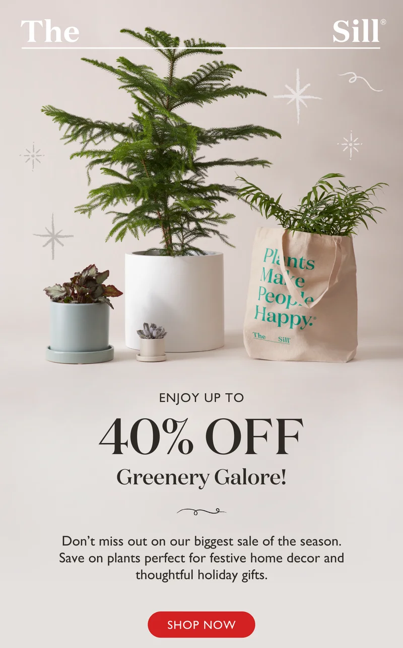 Enjoy up to 40% off during our biggest sale of the season. Save on plants perfect for festive home decor and thoughtful holiday gifts.