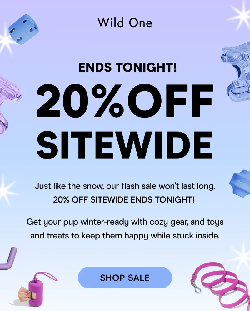 Flash Sale