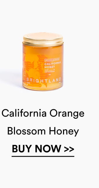 California Orange Blossom Honey  [Buy Now]