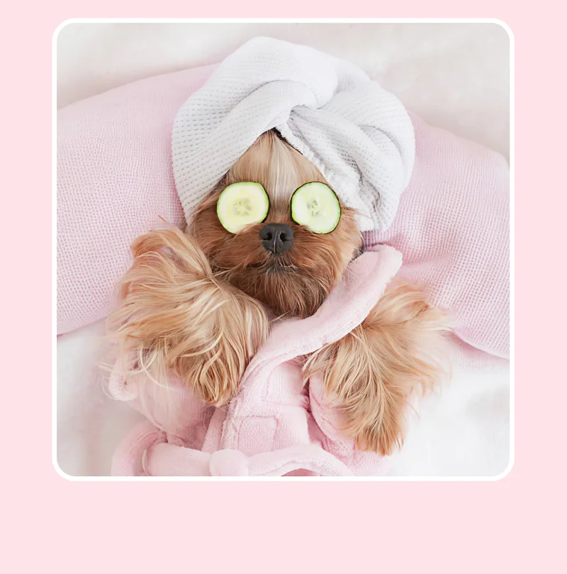 Start the pampering