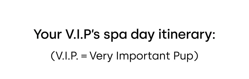 Your V.I.P's spa day