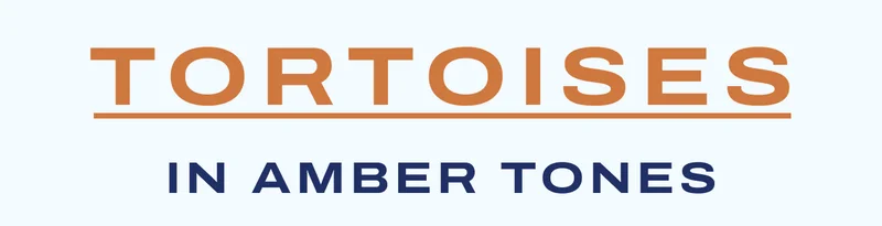 tortoises