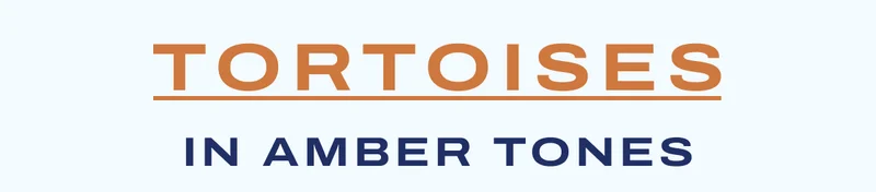 tortoises