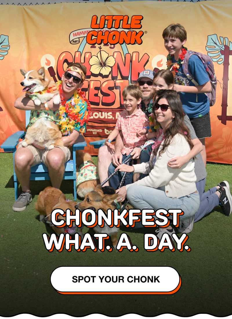 CHONKFEST WHAT. A. DAY.