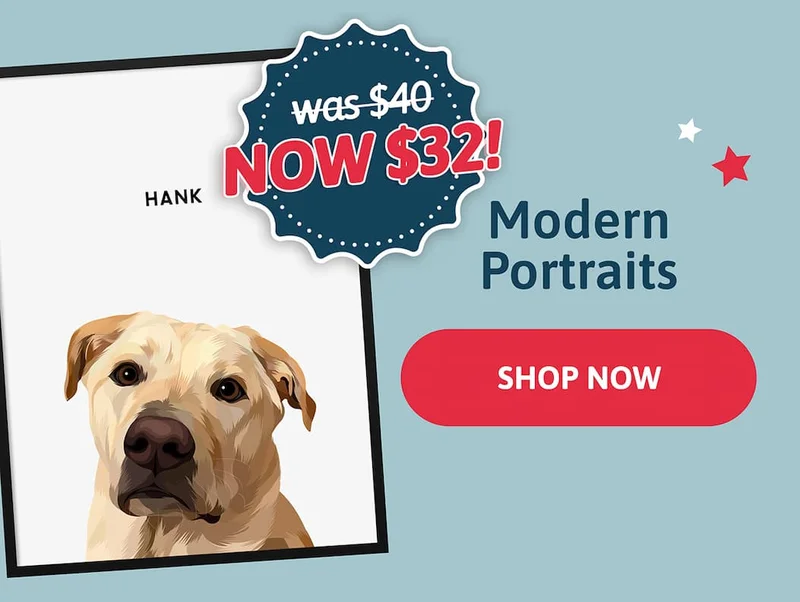Modern Pet Portraits. Shop Now for $32
