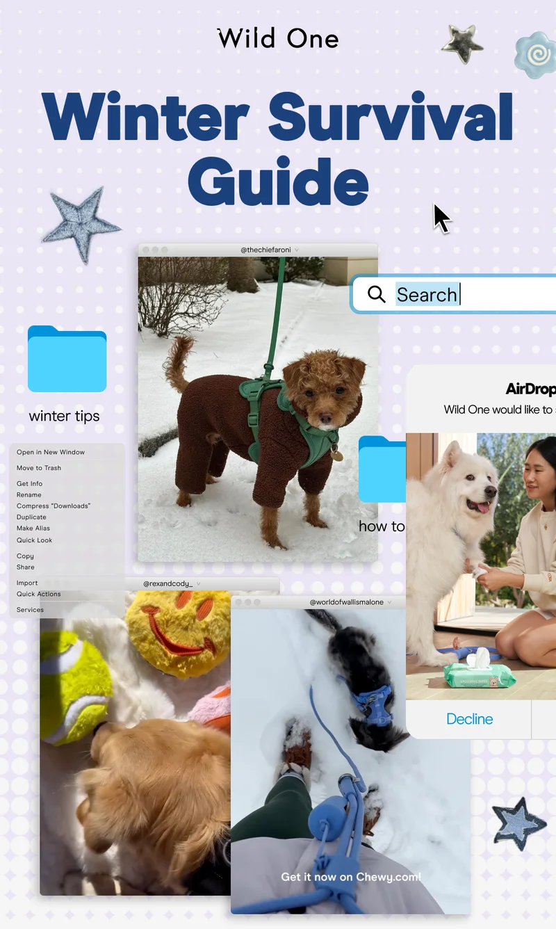 Winter Survival Guide