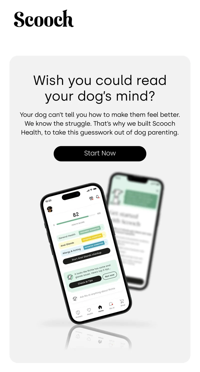 Wish you could read your dog’s mind? - Start now