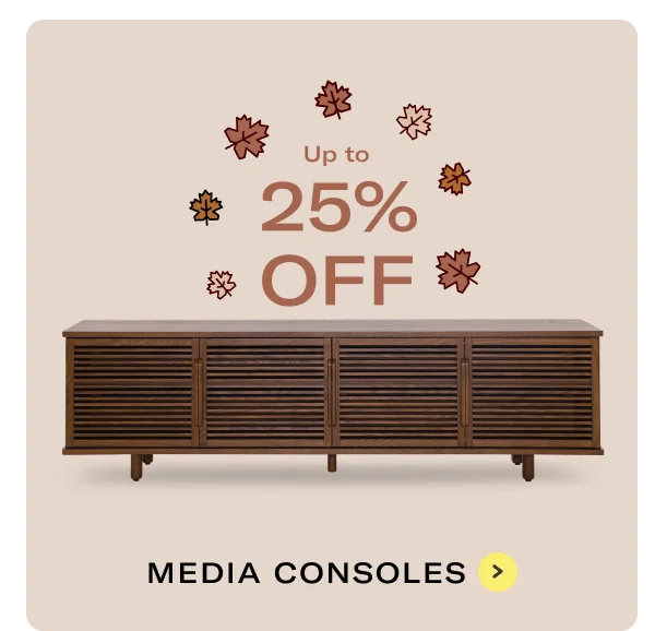 MEDIA CONSOLE