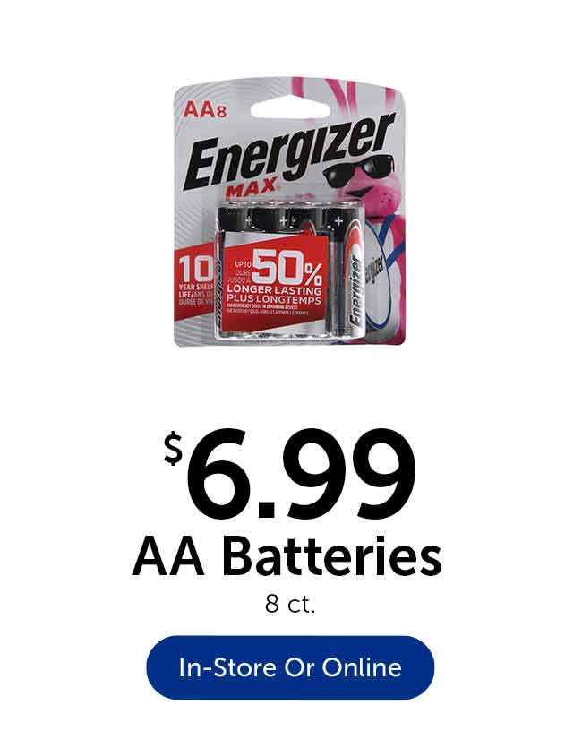 AA Batteries