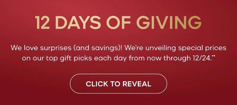 12 DAYS OF GIVING BANNER