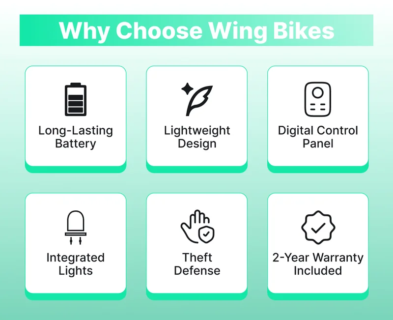 WHY CHOOSE US