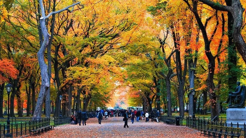 Image description: Tourists walking through Central Park in the fall.