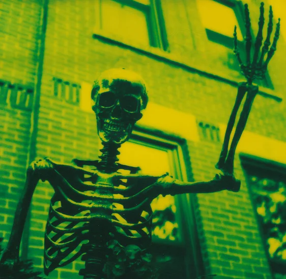 Polaroid Halloween