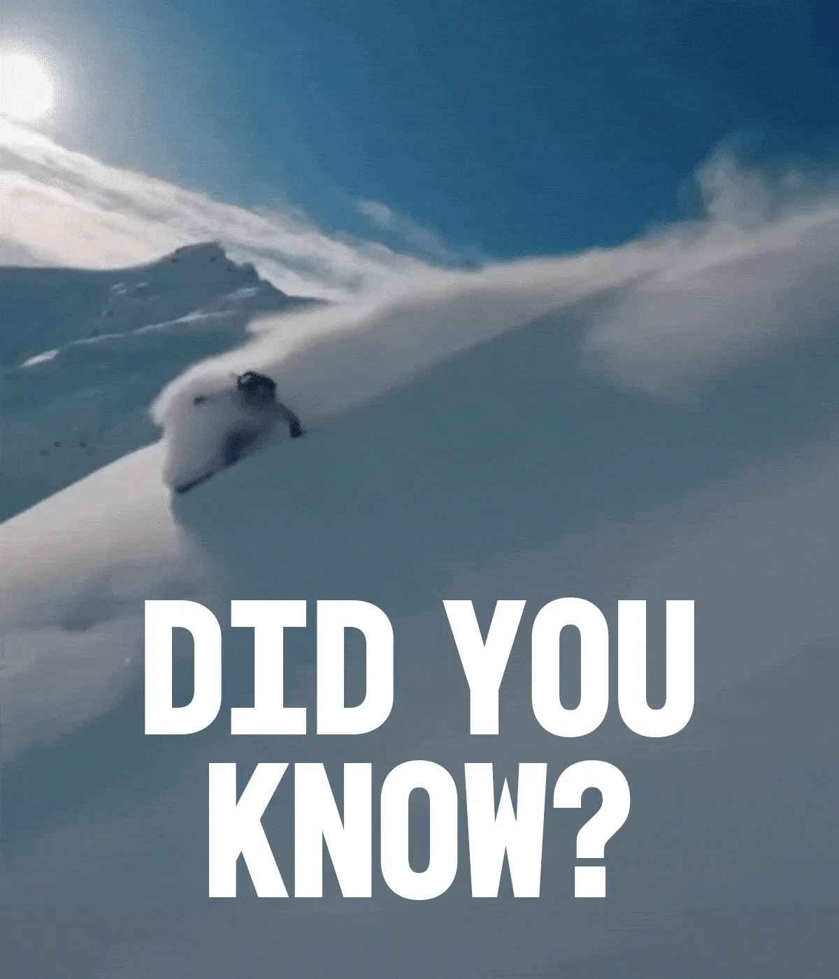 Did You Know?