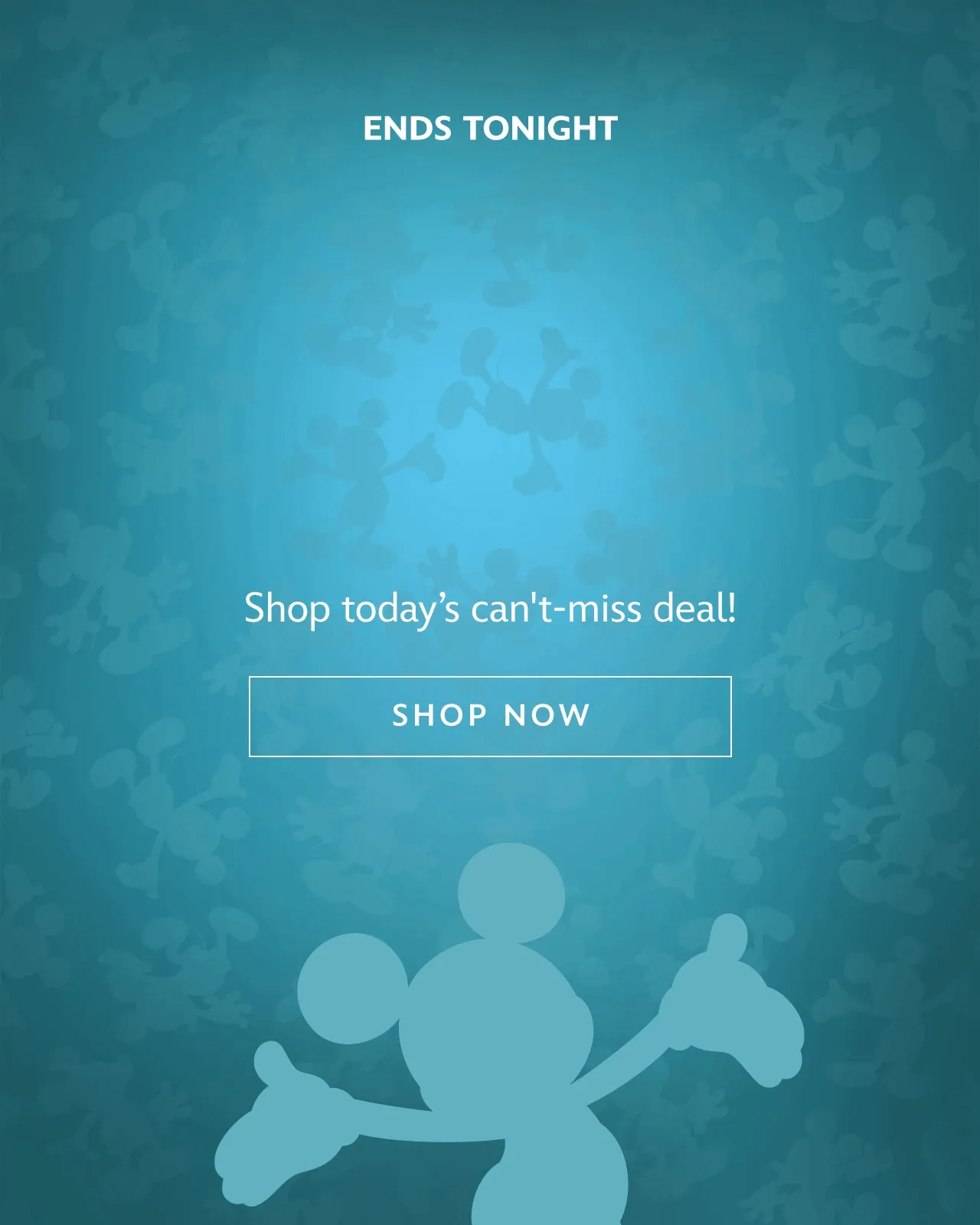 TODAY ONLY - Fantasy Flash Sale - Shop todays can't-miss deal! | Shop Now