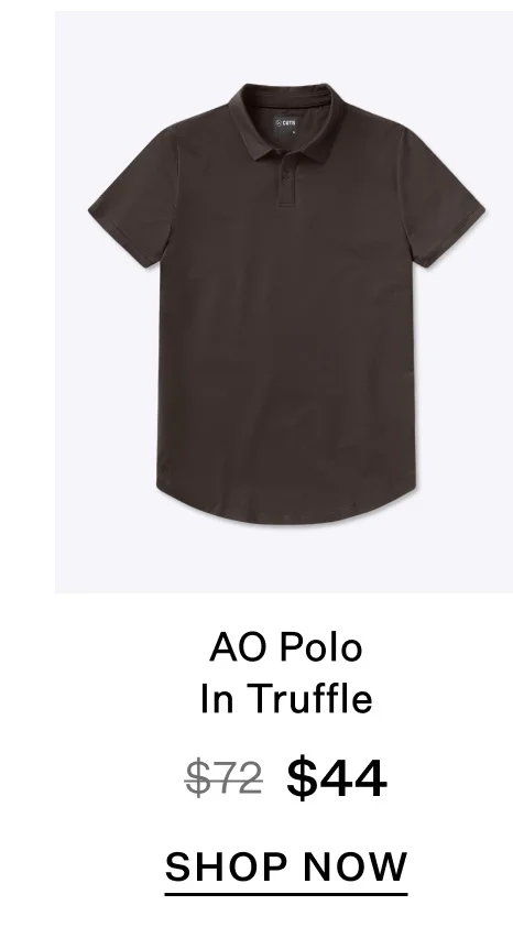 AO Polo