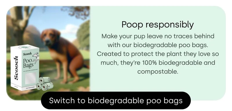 Switch to biodegradable poo bags