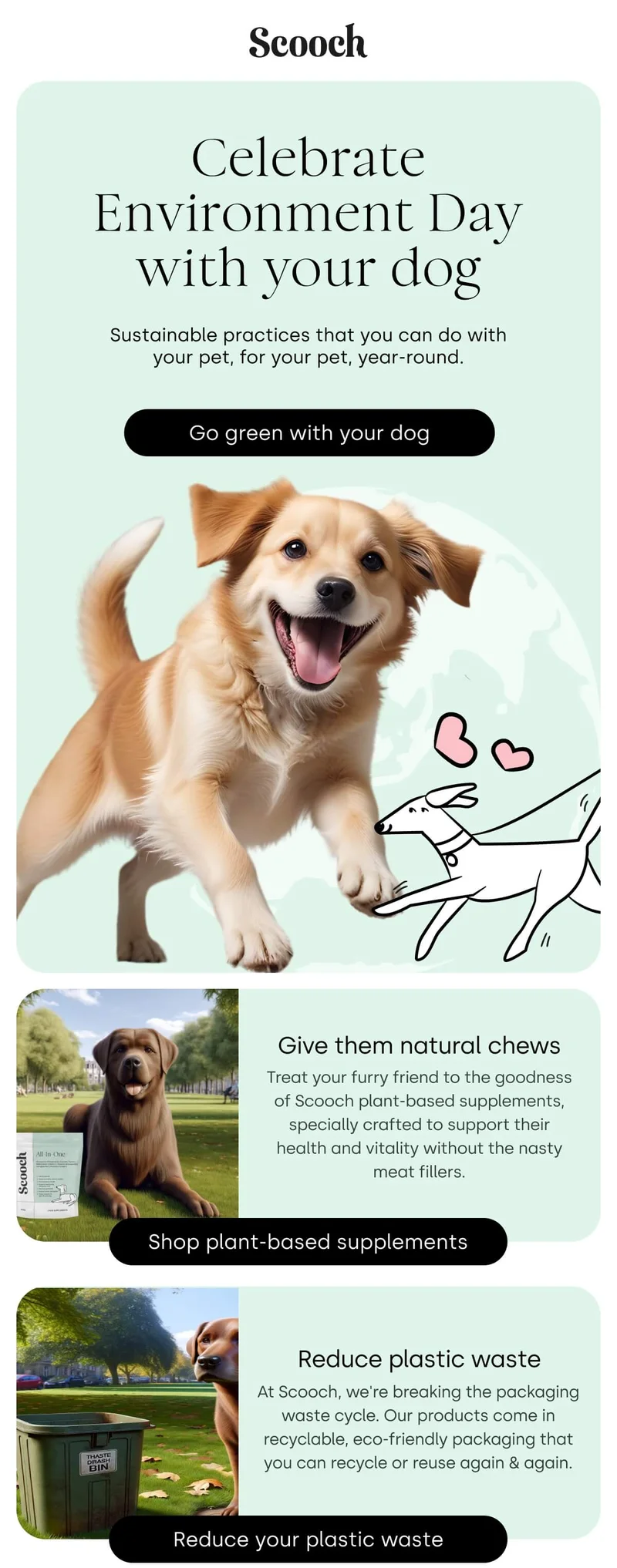 Celebrate Environment Day with your pup - Go green with your pup