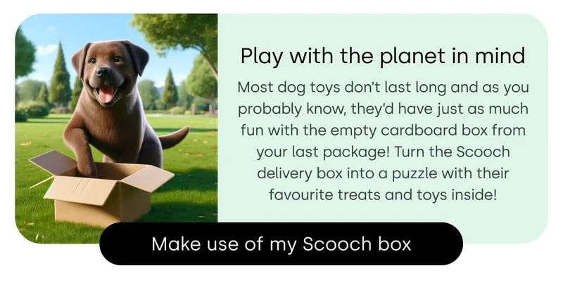 Make use of my Scooch box